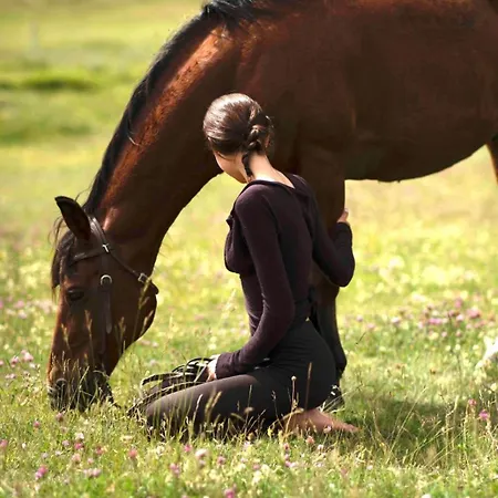 Il Castello Di Darany *