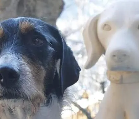 Сasa de vacaciones Il Castello Di Darany *