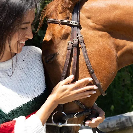 Сasa de vacaciones Il Castello Di Darany *