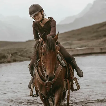 Il Castello Di Darany