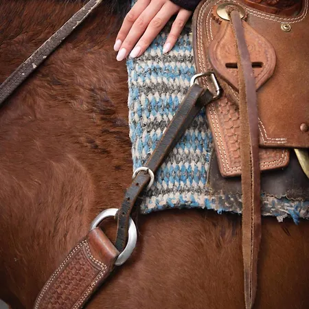 Сasa de vacaciones Il Castello Di Darany