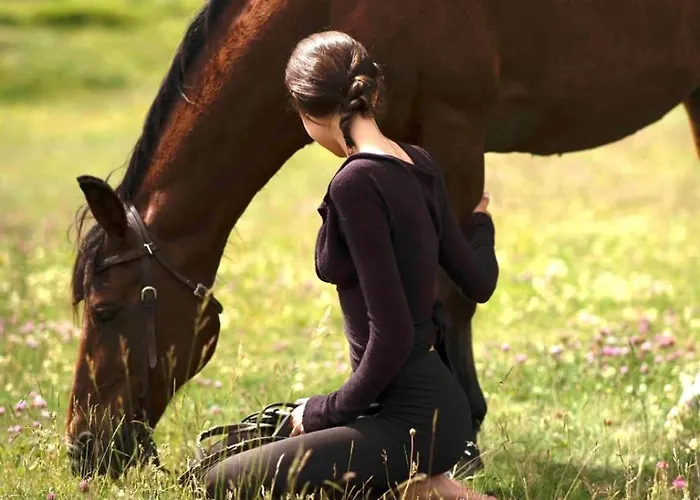 Il Castello Di Darany בית נופש
