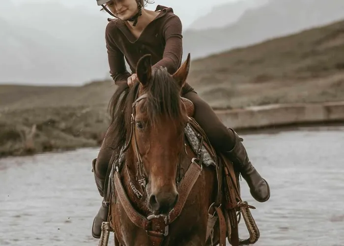 Il Castello Di Darany