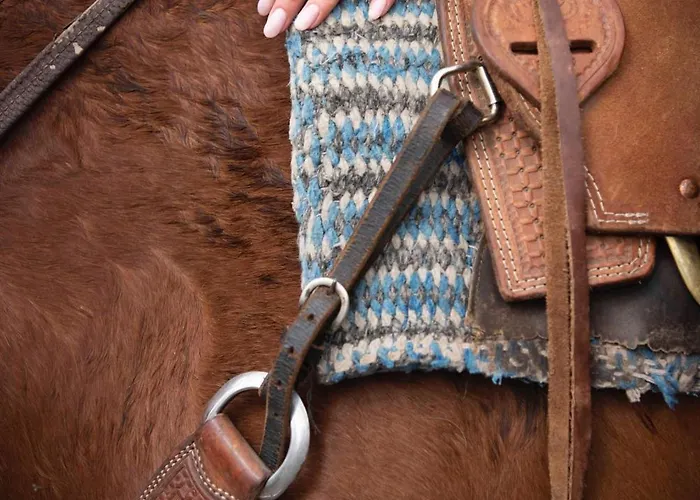 בית נופש Il Castello Di Darany